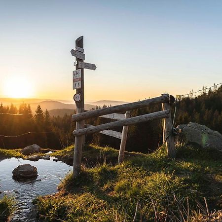 Waldhotel Fehrenbach Гінтерцартен Екстер'єр фото