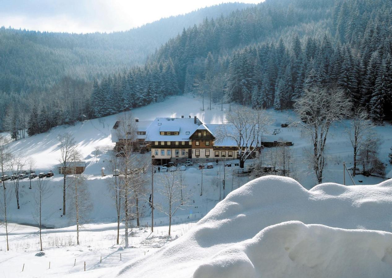 Waldhotel Fehrenbach Гінтерцартен Екстер'єр фото