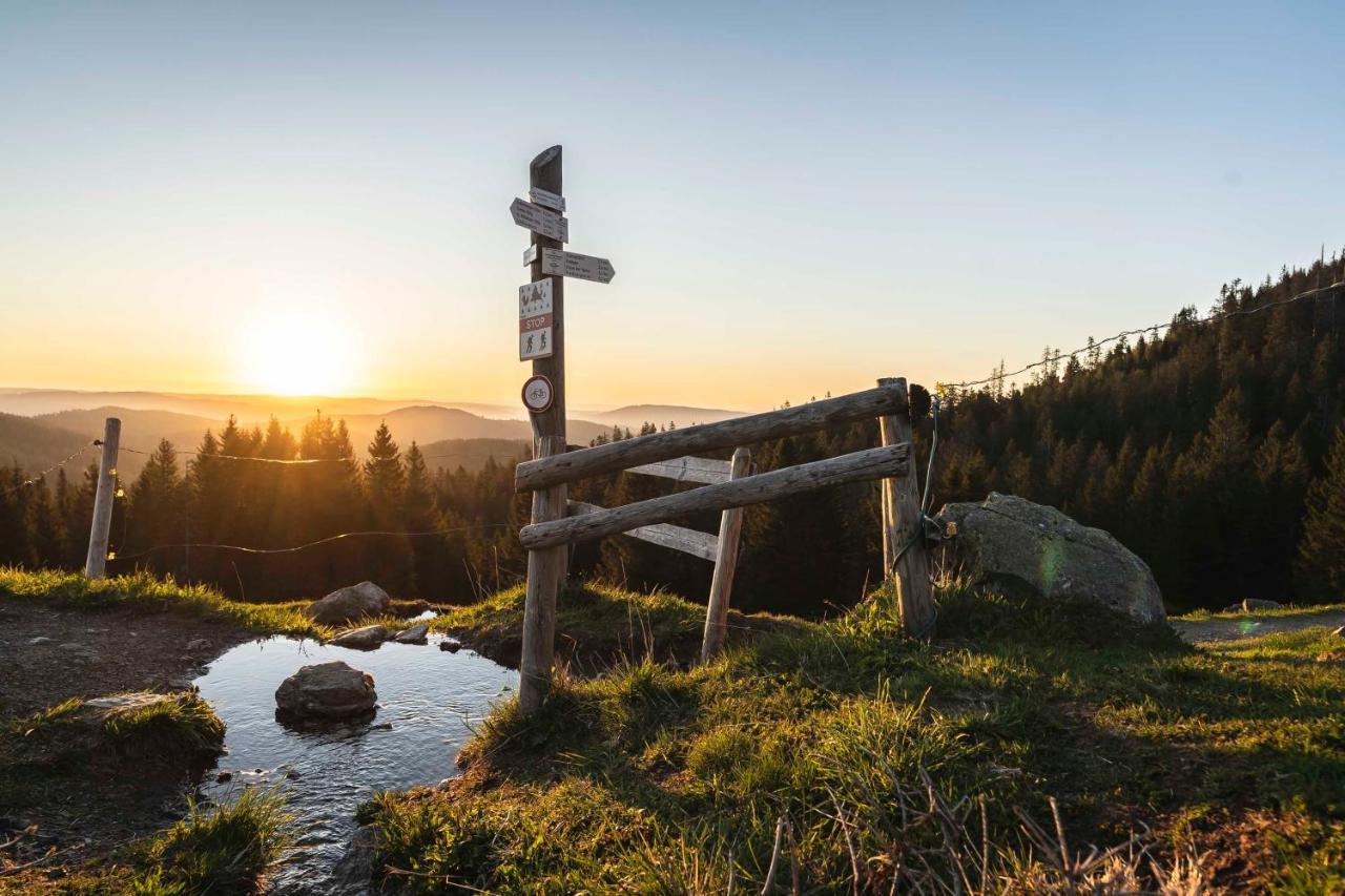 Waldhotel Fehrenbach Гінтерцартен Екстер'єр фото