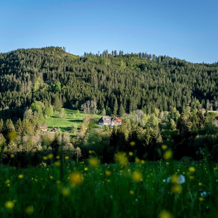 Waldhotel Fehrenbach Гінтерцартен Екстер'єр фото
